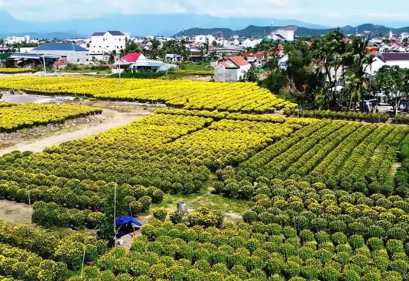 Làng nghề có gì để trải nghiệm?